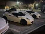 IMG_1105.jpeg
